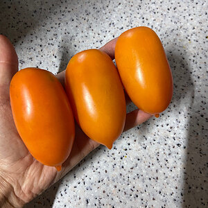 Надежда Ш., г Москва, г Зеленоград: Ммм... какой он оказался вкусненький, сочный, сладенький и к