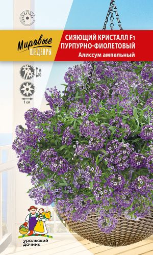 Алиссум ампельный СИЯЮЩИЙ КРИСТАЛЛ F1 ПУРПУРНО-ФИОЛЕТОВЫЙ