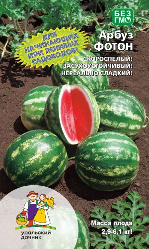 Арбуз ФОТОН