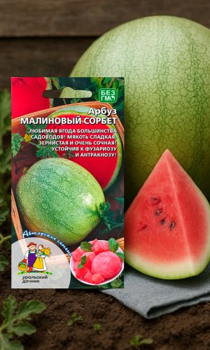 Арбуз МАЛИНОВЫЙ СОРБЕТ