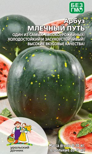 Арбуз МЛЕЧНЫЙ ПУТЬ — Один из самых высокоурожайных! Холодостойкий и засухоустойчивый! Высокие вкусовые качества!