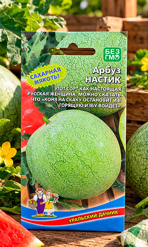 Арбуз НАСТИК