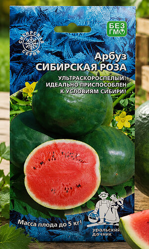 Арбуз СИБИРСКАЯ РОЗА