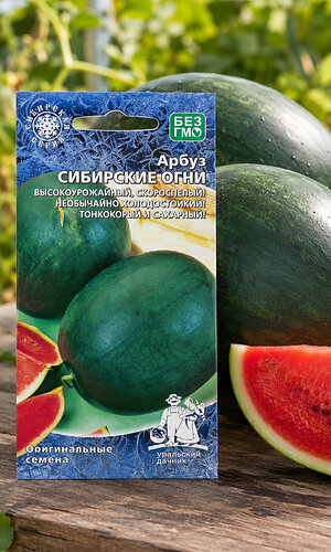 Арбуз СИБИРСКИЕ ОГНИ