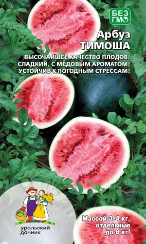 Арбуз ТИМОША