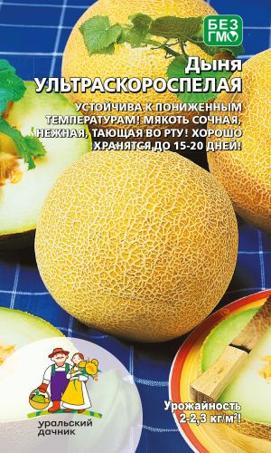 Дыня УЛЬТРАСКОРОСПЕЛАЯ — Устойчива к пониженным температурам! Мякоть сочная, нежная, тающая во рту! Хорошо хранятся до 15-20 дней!