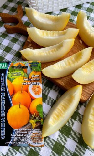 Дыня УРАЛЬСКИЙ СКОРОСПЕЛ &mdash; Самый ранний сорт дыни! Идеальный вариант для садоводов Сибири и Урала! Сладкая, медовая, тающая мякоть!