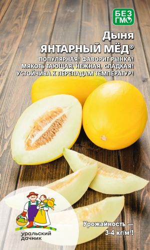 Дыня ЯНТАРНЫЙ МЁД — Популярная! Фаворит рынка! Мякоть тающая, нежная, сладкая! Устойчива к перепадам температур!