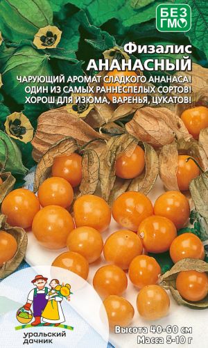 Физалис АНАНАСНЫЙ &mdash; Чарующий аромат сладкого ананаса! Один из самых раннеспелых сортов! Хорош для изюма, варенья, цукатов!