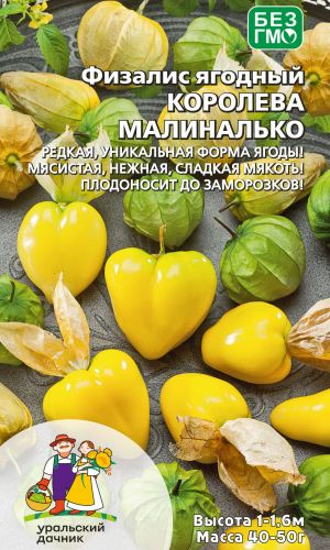 Физалис КОРОЛЕВА МАЛИНАЛЬКО — Редкая, уникальная форма ягоды! Мясистая, нежная, сладкая мякоть! Плодоносит до заморозков!