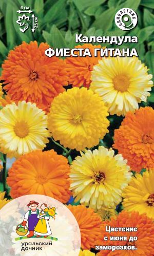 Календула ФИЕСТА ГИТАНА