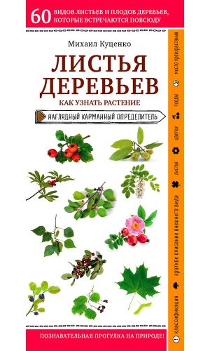 Книга ЛИСТЬЯ ДЕРЕВЬЕВ. КАК УЗНАТЬ РАСТЕНИЕ — Михаил Куценко