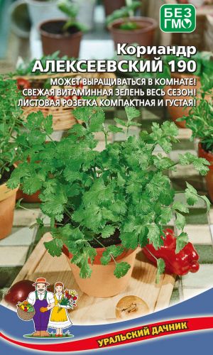 Кориандр (Кинза) АЛЕКСЕЕВСКИЙ 190 — Может выращиваться в комнате! Свежая витаминная зелень весь сезон! Листовая розетка компактная и густая!