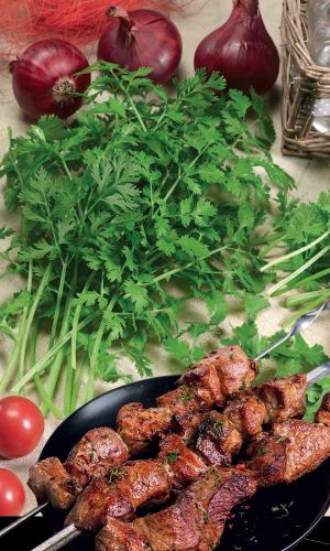 Кориандр (Кинза) ШАШЛЫЧНЫЙ — Придаст блюдам яркий вкус! Добавляют к мясу, в салаты и соусы! Способствует лучшему усвоению пищи!