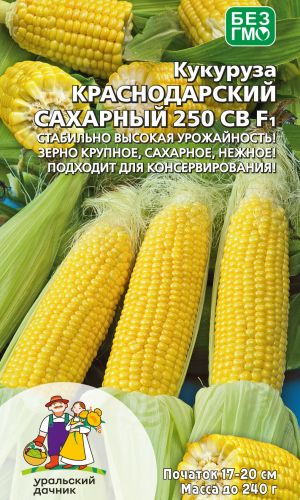 Кукуруза КРАСНОДАРСКИЙ САХАРНЫЙ 250 СВ F1 — Стабильно высокая урожайность! Зерно крупное, сахарное, нежное! Подходит для консервирования!