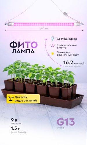 Линейный ФИТО светильник ЭРА FITO-9W-RB-Т8+holderG13