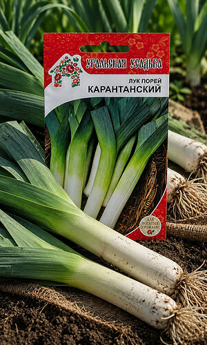 Лук порей КАРАНТАНСКИЙ