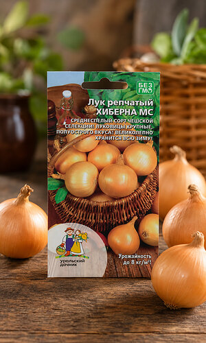 Лук репчатый ХИБЕРНА МС