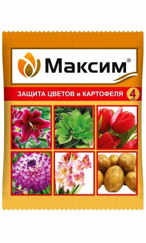 МАКСИМ 4 мл — Для защиты от болезней луковичных (тюльпаны, гладиолусы, лилии и т. д.), георгинов, пионов, корней и корневищ других цветов, а также семенного картофеля!