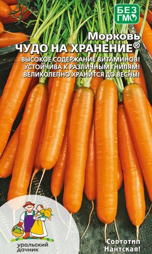 Морковь ЧУДО НА ХРАНЕНИЕ — Высокое содержание витаминов! Устойчива к различным гнилям! Великолепно хранится до весны!