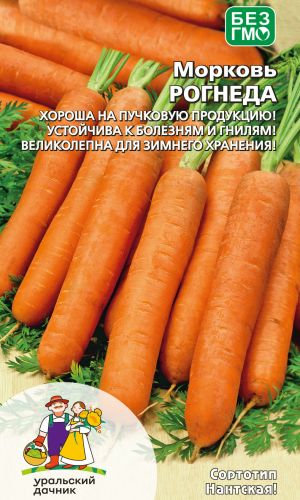 Морковь РОГНЕДА — Хороша на пучковую продукцию! Устойчива к болезням и гнилям! Великолепна для зимнего хранения!