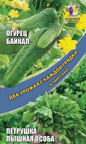 Набор овощей Огурец + Петрушка листовая — Огурец БАЙКАЛ и Петрушка ПЫШНАЯ ОСОБА. Два урожая с грядки!