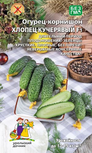 Огурец ХЛОПЕЦ КУЧЕРЯВЫЙ F1 &mdash; Длительный период плодоношения! Зеленцы хрусткие, плотные, без горечи! Невероятные консервные качества!
