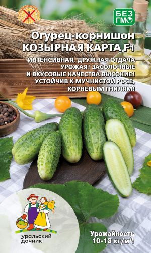 Огурец КОЗЫРНАЯ КАРТА F1 &mdash; Интенсивная, дружная отдача урожая! Засолочные и вкусовые качества высокие! Устойчив к мучнистой росе, корневым гнилям!