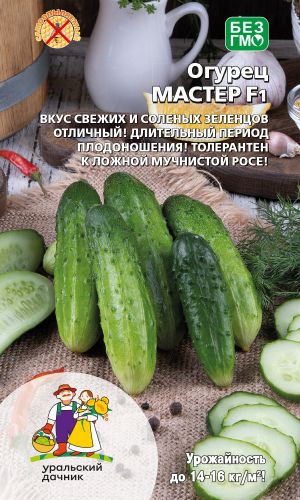 Огурец МАСТЕР F1 &mdash; Вкус свежих и солёных зеленцов отличный! Длительный период плодоношения! Толерантен к ложной мучнистой росе!
