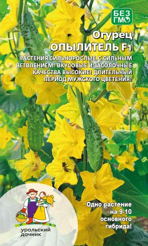 Огурец ОПЫЛИТЕЛЬ F1 — Растения сильнорослые,с сильным ветвлением! Вкусовые и засолочные качества высокие! Длительный период мужского цветения!