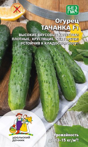Огурец ТАЧАНКА F1 &mdash; Высокие вкусовые качества! Плотные, хрустящие, без горечи! Устойчив к кладоспориозу!