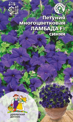 Петуния ЛАМБАДА F1 СИНЯЯ