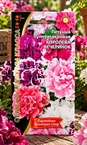 Петуния КОРОЛЕВА ВЕЧЕРИНОК супермахровая