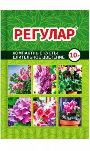 РЕГУЛАР 10 г — Для снижения высоты растений, формирования компактного куста, повышения декоративных качеств, продления периода цветения!