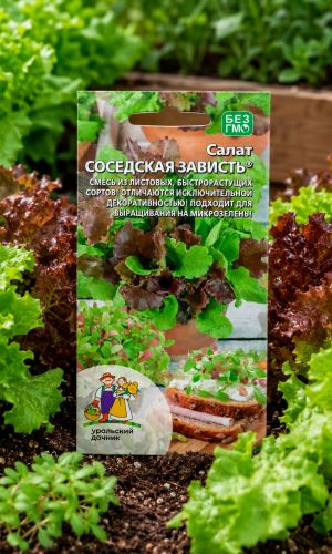 Салат СОСЕДСКАЯ ЗАВИСТЬ