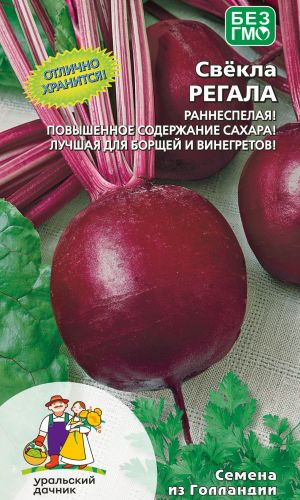 Свёкла РЕГАЛА — Отлично хранится! Раннеспелая! Повышенное содержание сахаров! Лучшая для борщей и винегретов!