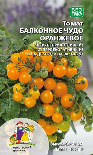 Томат БАЛКОННОЕ ЧУДО ОРАНЖЕВОЕ — Сверхнеприхотливый! Супердекоративный! И на десерт, и на засолку!