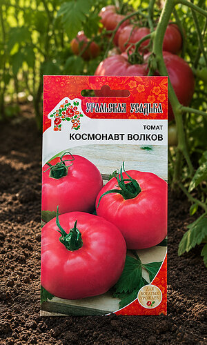 Томат КОСМОНАВТ ВОЛКОВ
