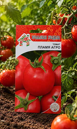 Томат ПЛАМЯ АГРО