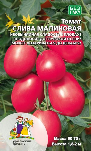 Томат СЛИВА МАЛИНОВАЯ