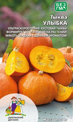 Тыква УЛЫБКА — Ультраскороспелая! Кустовая тыква! Формирует до 15 плодов на растении! Мякоть сладкая с дынным ароматом!