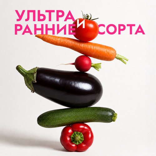 Там собрано всё, что успевает за короткое уральское лето: ультраскороспелые сорта целиком и раннеспелые — только те, что покупают чаще всего. Томаты, огурцы, редис, арбузы, кабачки, зелень.