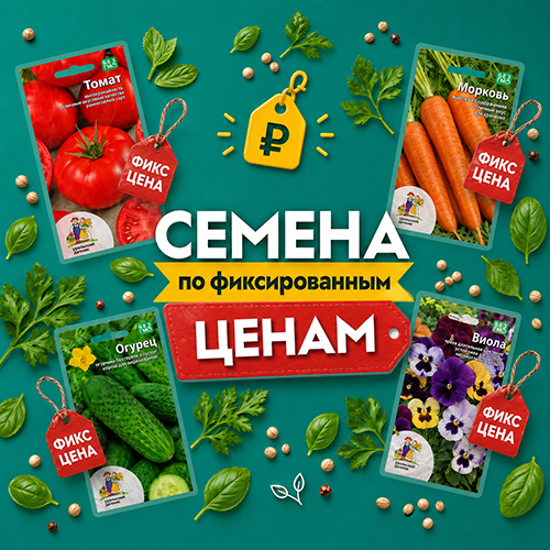 Здесь всё стоит ровно 19, 39 или в крайнем случае 59 рублей — без звёздочек и пересчётов на кассе.