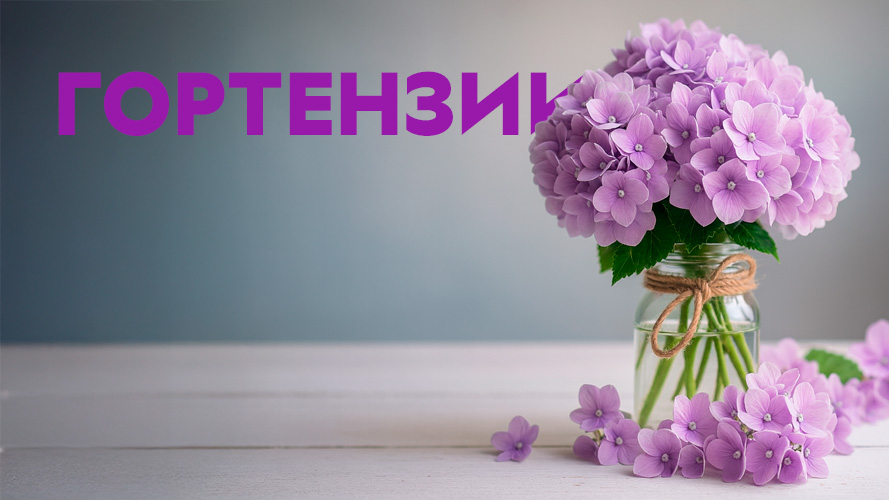 Саженцы гортезий. Заказ на весну 2026