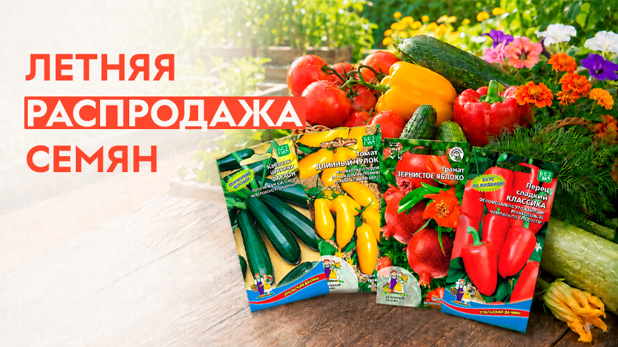 Летняя распродажа семян!
